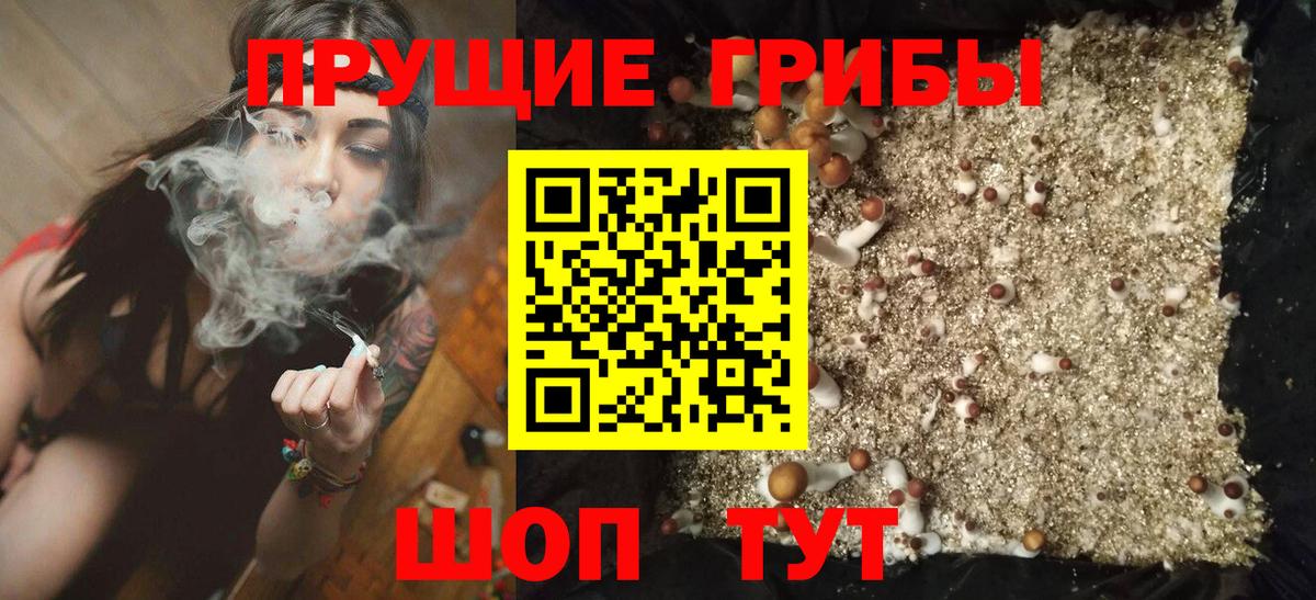 Галлюциногенные грибы мухоморы Усть-Илимск