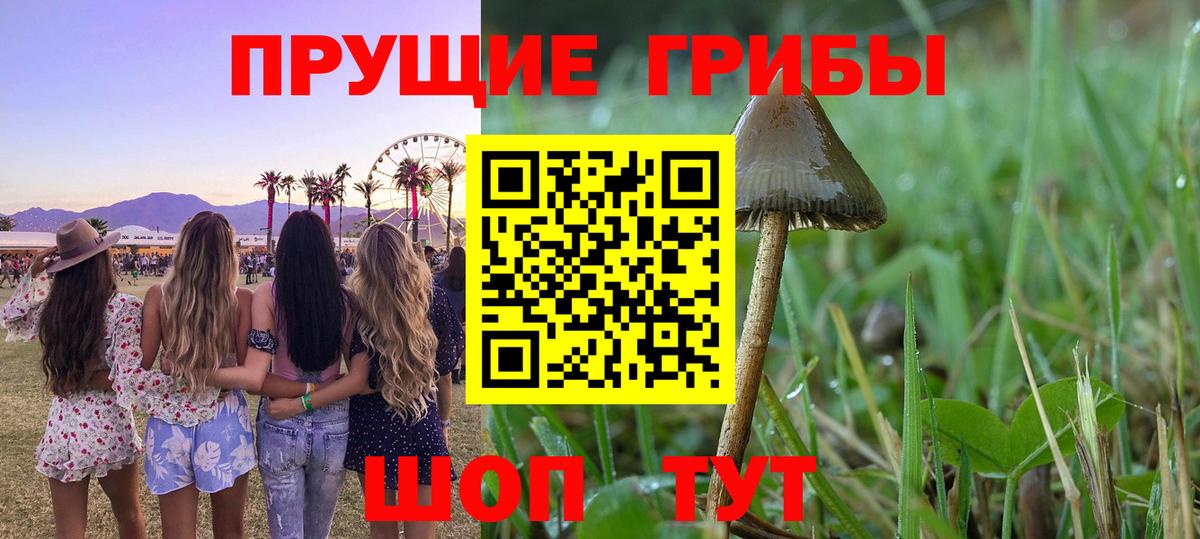 Усть-Илимск  Галлюциногенные грибы Cubensis  наркота  Вход с VPN 